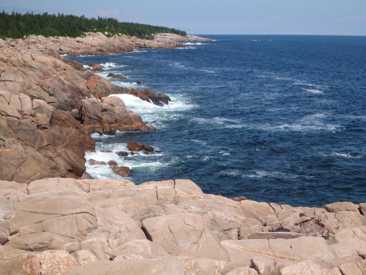 Back Membertou